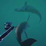 Relaxing and exciting at first, but unfortunately quickly becomes rather slow and monotonous.